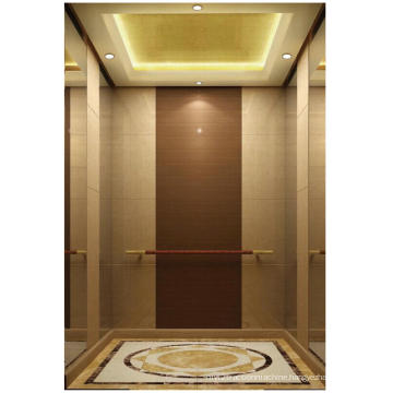 Machine Roomless Villa Elevator for Hot Sell